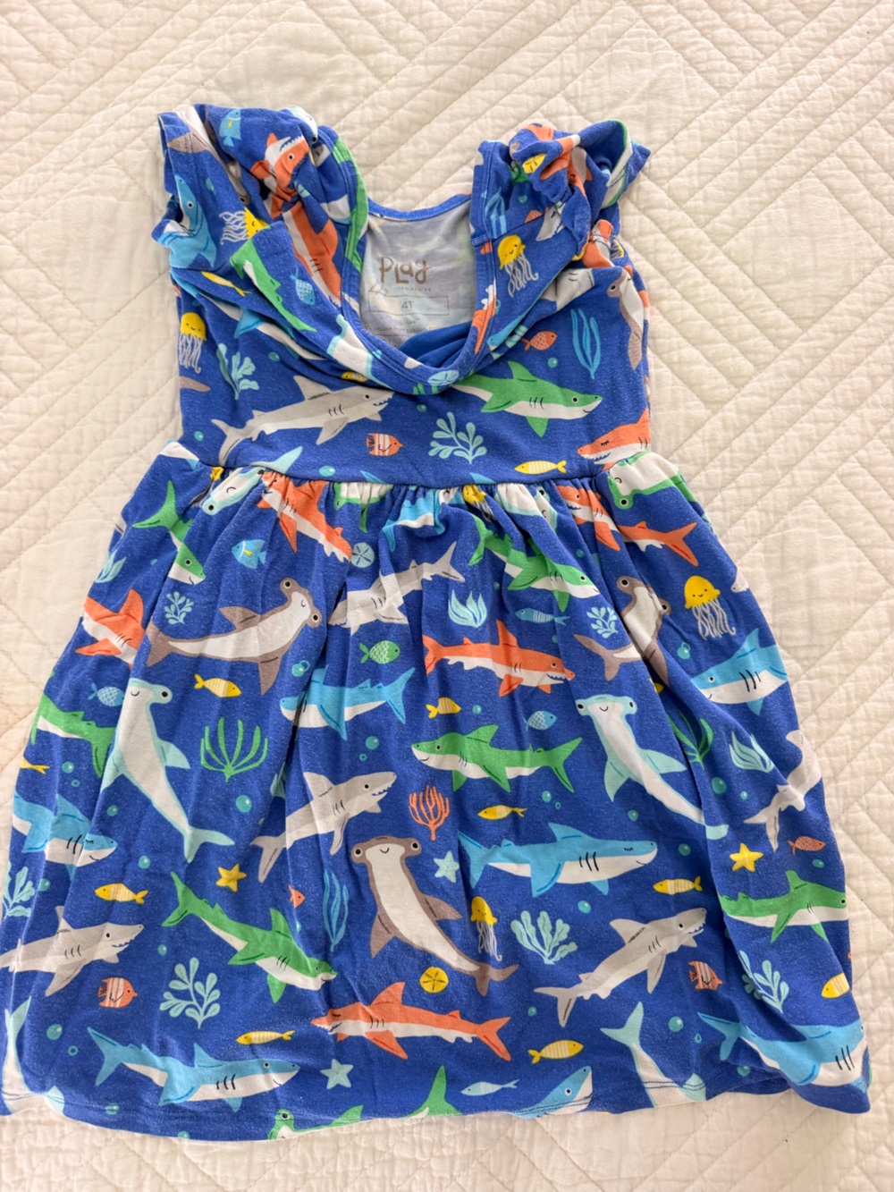 Little sleepies 4T dress Rad Reef